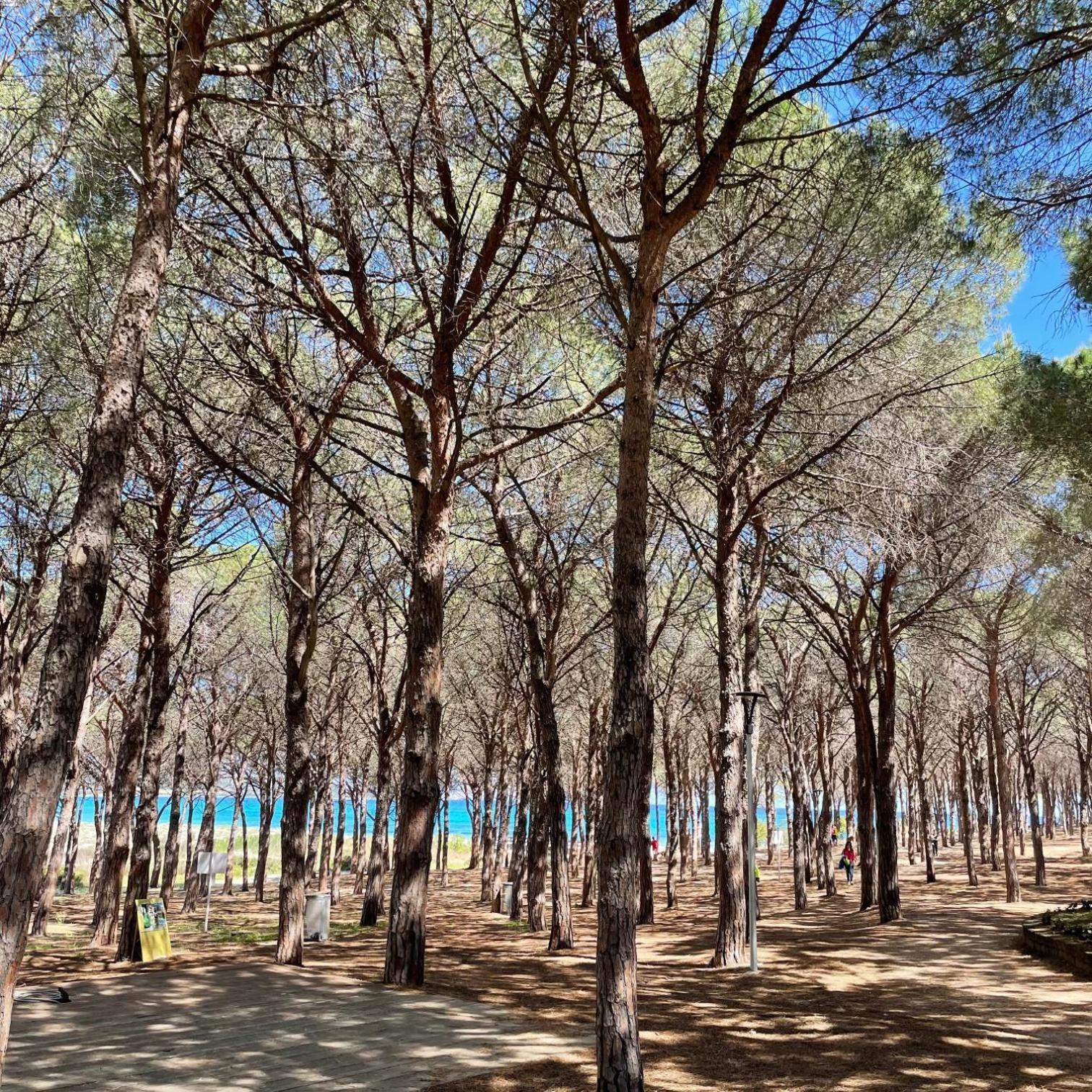 布多尼Sorres De Mare别墅 外观 照片